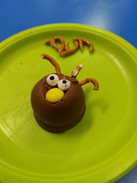Reindeer Cookery